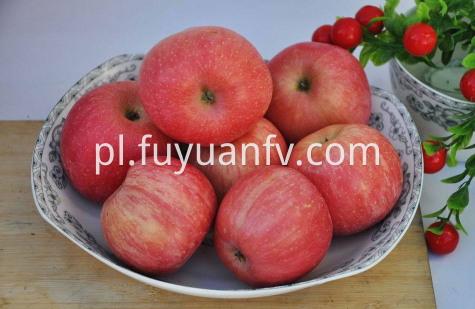 Fuji Apple 27